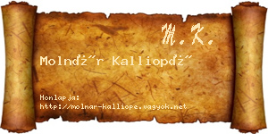 Molnár Kalliopé névjegykártya